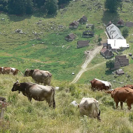 Savli Apartmán