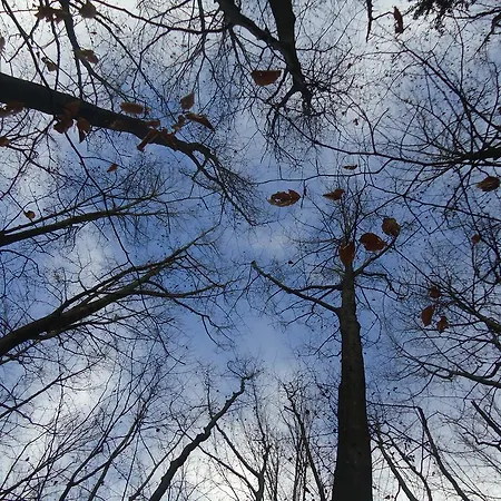 Διαμέρισμα Savli *