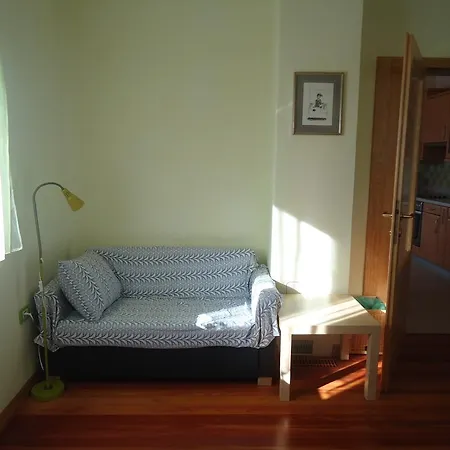 Apartment Savli *
