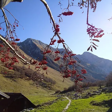 Διαμέρισμα Savli