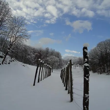 萨维利公寓 * 科巴里德