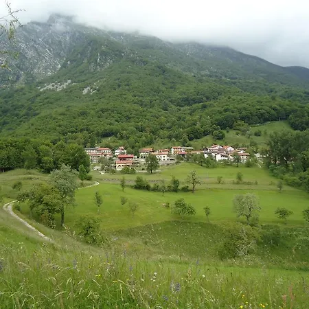 Apartment Savli *