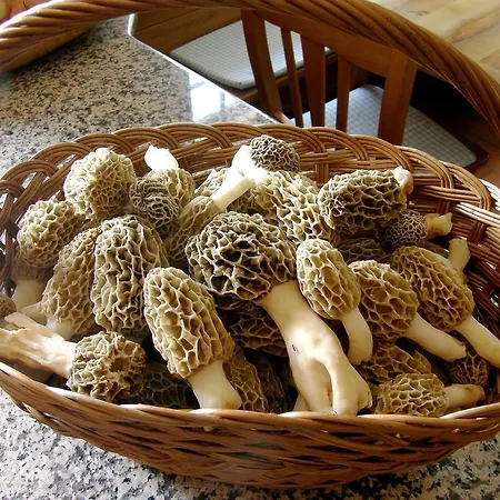 Διαμέρισμα Savli