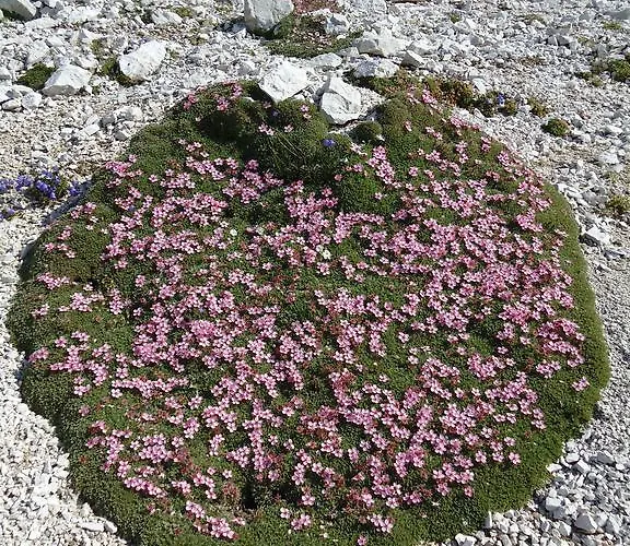 Appartement Savli Kobarid